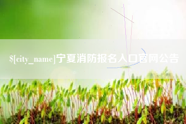 延边宁夏消防报名入口官网公告