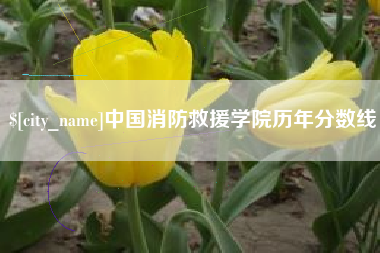 延边中国消防救援学院历年分数线
