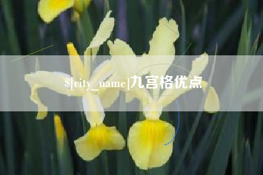 延边九宫格优点