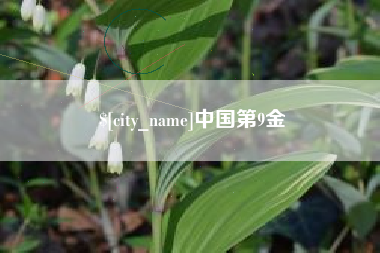 延边中国第9金