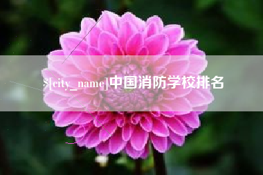 延边中国消防学校排名