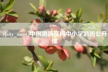 延边中国消防官网中小学消防公开课