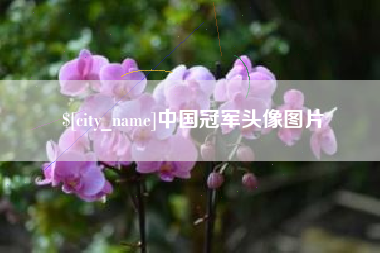 延边中国冠军头像图片
