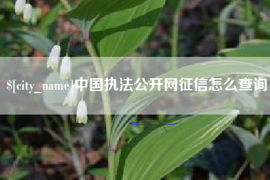 延边中国执法公开网征信怎么查询