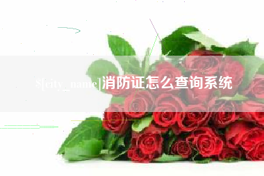 延边消防证怎么查询系统