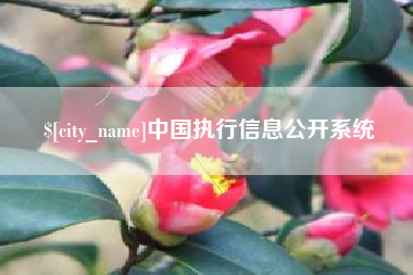 延边中国执行信息公开系统