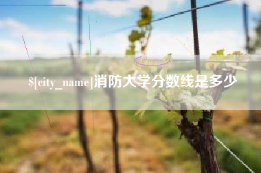 延边消防大学分数线是多少