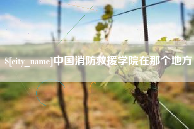 延边中国消防救援学院在那个地方