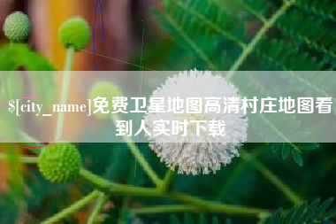 延边免费卫星地图高清村庄地图看到人实时下载