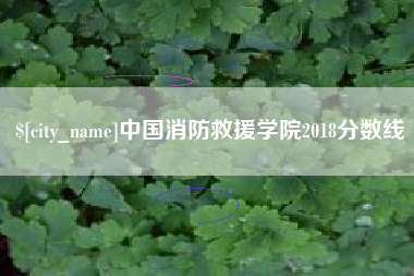 延边中国消防救援学院2018分数线