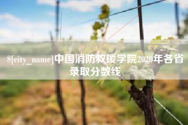 延边中国消防救援学院2020年各省录取分数线