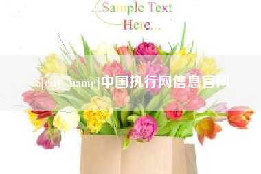 延边中国执行网信息官网