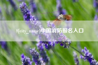 延边中国消防报名入口