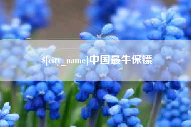 延边中国最牛保镖