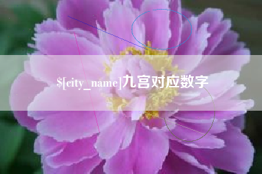 延边九宫对应数字