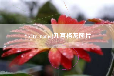 延边九宫格龙图片