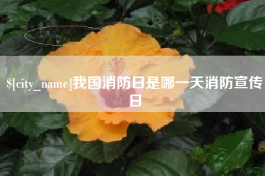 延边我国消防日是哪一天消防宣传日