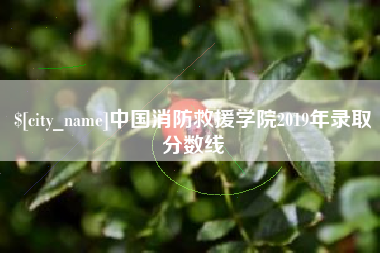 延边中国消防救援学院2019年录取分数线