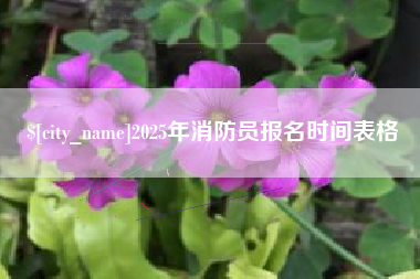 延边2025年消防员报名时间表格