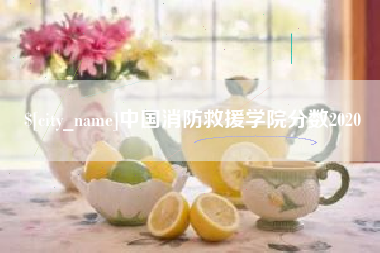 延边中国消防救援学院分数2020