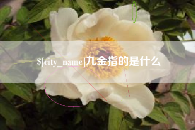 延边九金指的是什么
