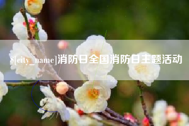 延边消防日全国消防日主题活动