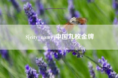 延边中国九枚金牌