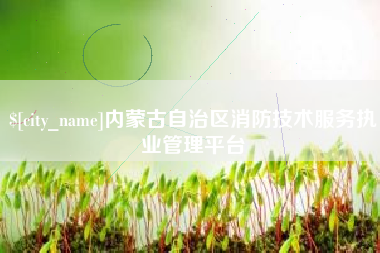 延边内蒙古自治区消防技术服务执业管理平台
