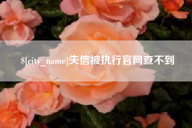 延边失信被执行官网查不到