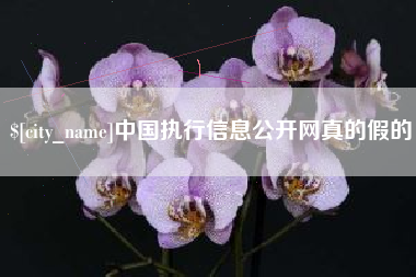 延边中国执行信息公开网真的假的