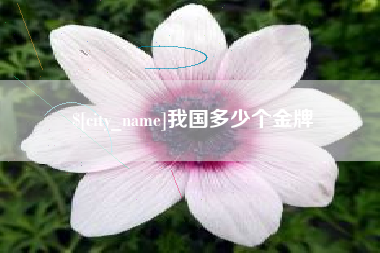 延边我国多少个金牌