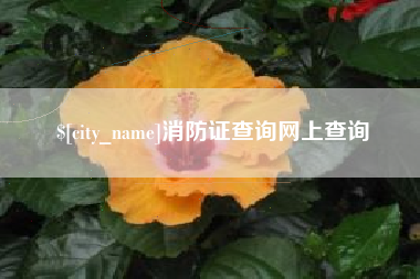 延边消防证查询网上查询