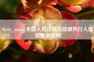 延边全国人民法院失信被执行人信息查询官网