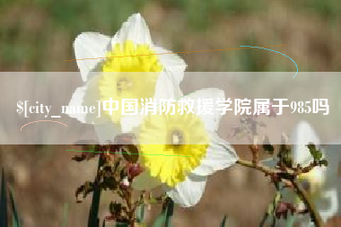 延边中国消防救援学院属于985吗