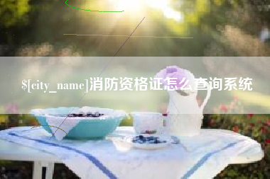延边消防资格证怎么查询系统