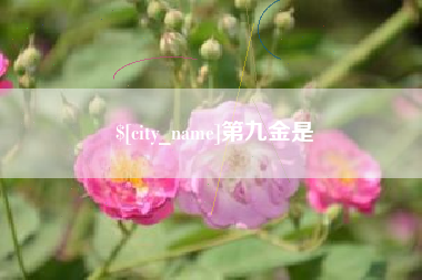 延边第九金是