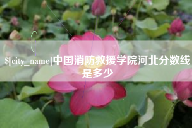 延边中国消防救援学院河北分数线是多少