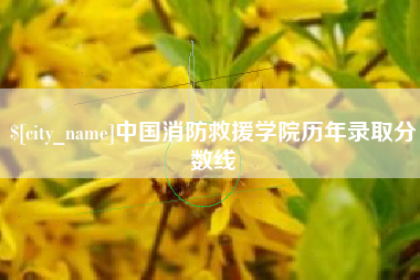 延边中国消防救援学院历年录取分数线