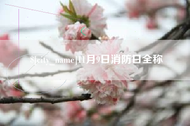 延边11月9日消防日全称