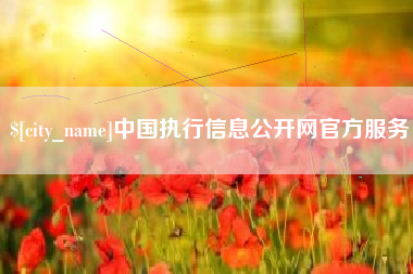延边中国执行信息公开网官方服务