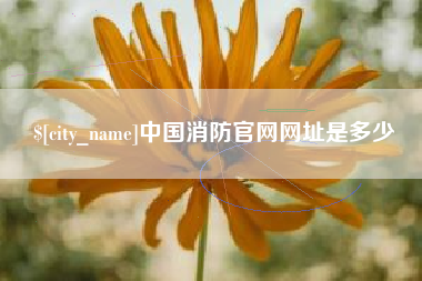 延边中国消防官网网址是多少