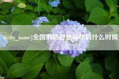 延边全国消防日是每年的什么时候