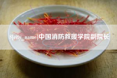 延边中国消防救援学院副院长