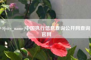 延边中国执行信息查询公开网查询官网