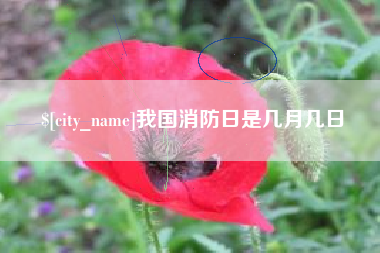 延边我国消防日是几月几日