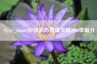 延边中国消防救援学院2020录取分