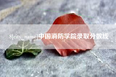 延边中国消防学院录取分数线