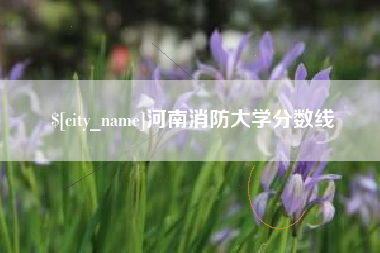 延边河南消防大学分数线