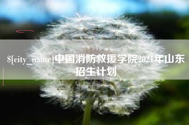 延边中国消防救援学院2021年山东招生计划