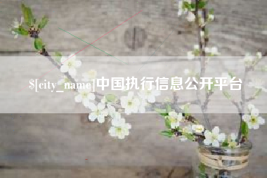 延边中国执行信息公开平台